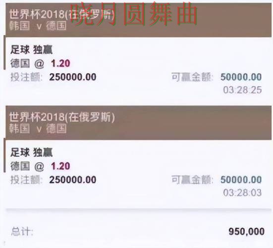 世界杯投注平台为什么越来越多人关注详细解析